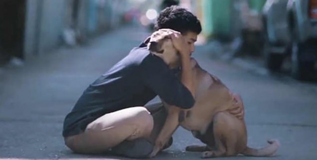 jovem-abraça-animais-de-rua-2-760x507