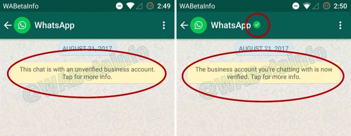 WhatsApp-cuenta-verificada-700x271