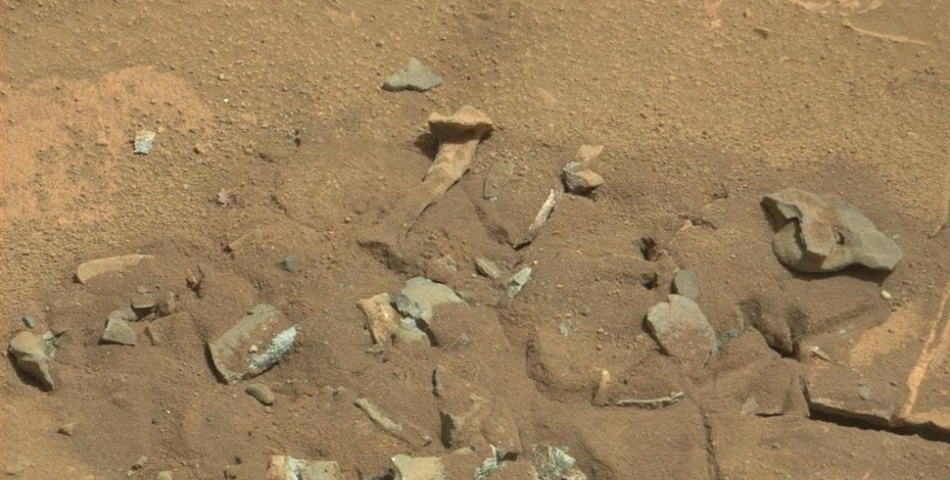 Una roca marciana que parece un fósil