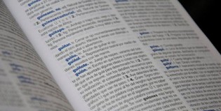 El diccionario, una cuestión argenta