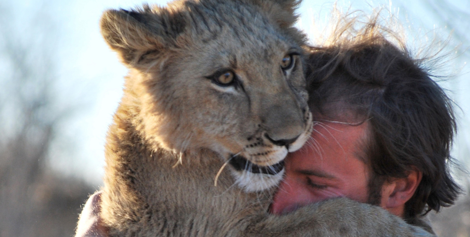 Esta leona es un amor…