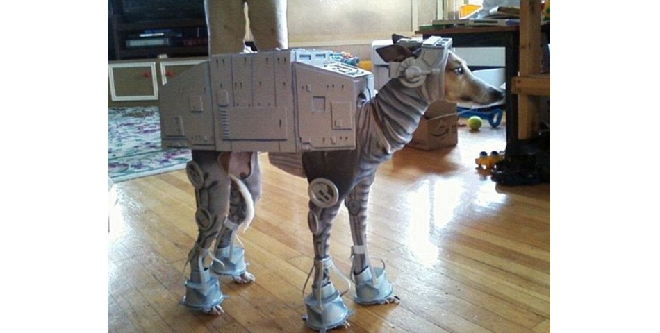 Tu perro puede ser AT-AT