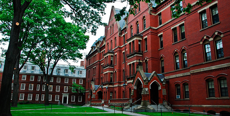 Insólito: Harvard dará clases de sexo anal