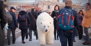 Un osito suelto en Londres