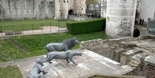 Increíbles esculturas hechas con alambre