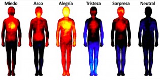 ¿De qué color son las emociones?