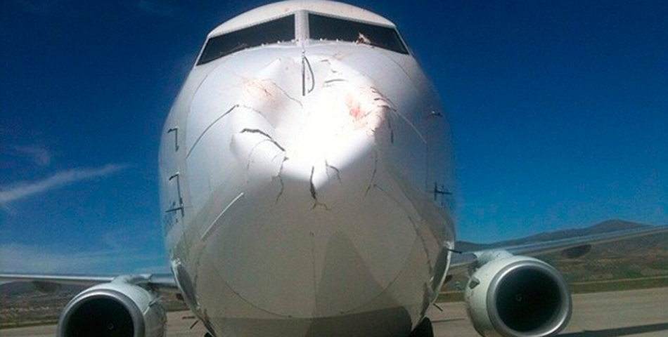 ¿Contra qué golpeó este avión?