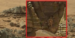 ¿Un cangrejo suelto en Marte?