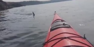 Visita inesperada