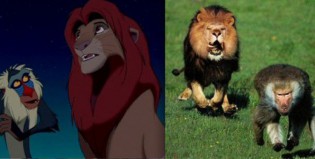 Disney en la vida real