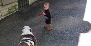 Bulldog 1 – Niño 0