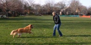 Un fantasma en el parque