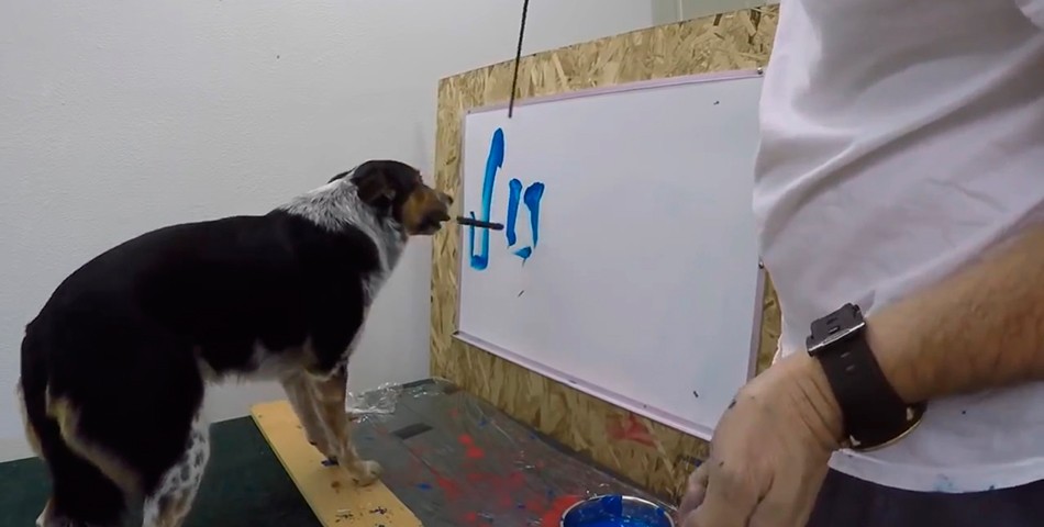 El perro artista