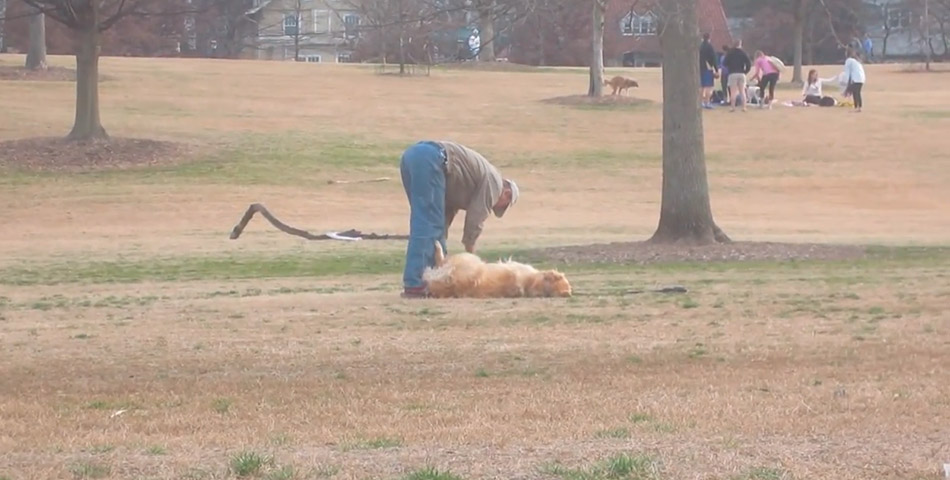 Se hizo el muertito para quedarse más tiempo en el parque