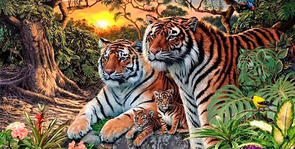 ¿Cuántos tigres ves en esta foto?