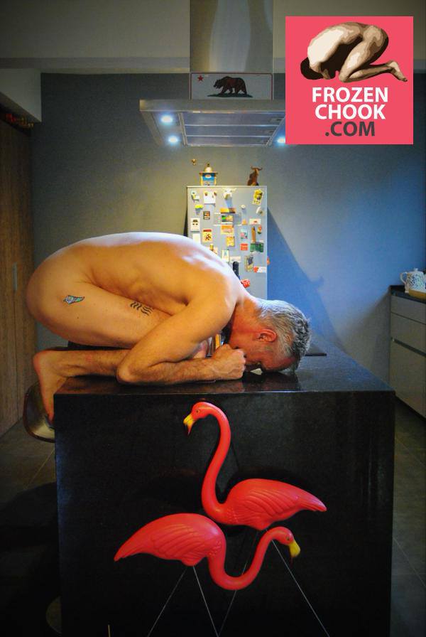 chile-flamingos-frozen-chook[1]