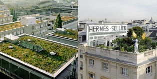 Francia apuesta a los techos verdes