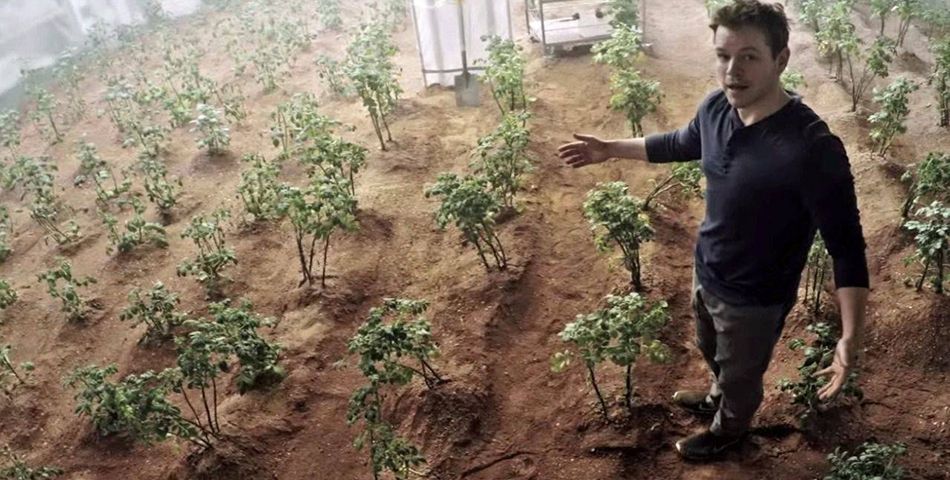 Crean suelo similar a Marte y cultivan vegetales