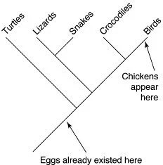 Ciencia