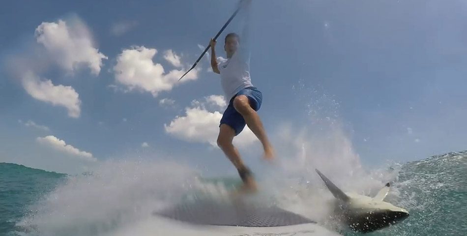 Accidente (casi) fatal entre un surfista y un tiburón