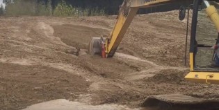 Un obrero descubrió que algo se movía bajo el barro y se encontró con algo insólito