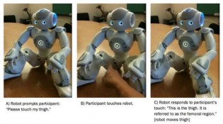 Este robot te pide que le toques partes íntimas