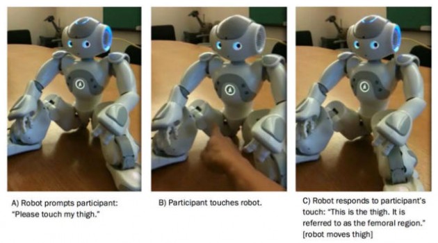 Este robot te pide que le toques partes íntimas