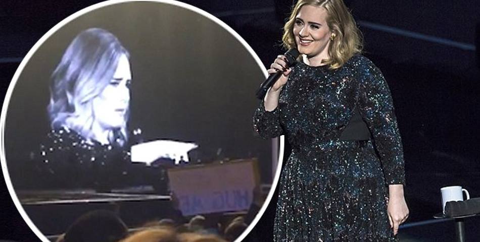 Adele estalló contra una fan en pleno concierto
