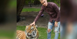 Justin Bieber se sacó foto con un tigre y le fue muy mal