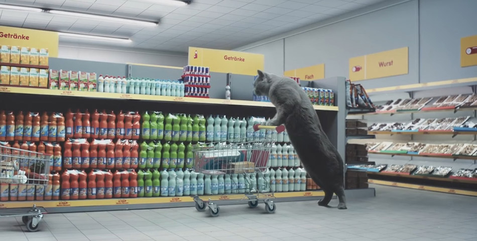 Una publicidad protagonizada por gatos es la nueva joyita viral