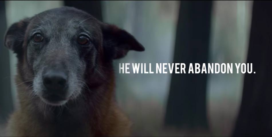 Te vas a emocionar con esta campaña contra el abandono de animales
