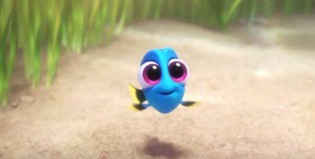 El video se hizo viral por la tierna aparición de “Dory” bebé