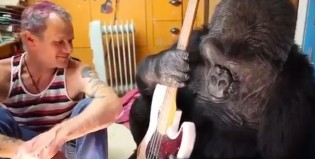 Flea le enseñó a tocar el bajo a un gorila