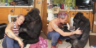 Flea le enseña a tocar el bajo a un gorila