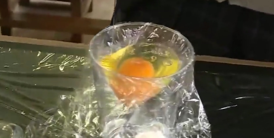 Un huevo, una bolsa de plástico y algo nunca antes visto