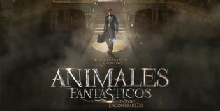 “Animales fantásticos y dónde encontrarlos” tendrá más películas que lo planeado