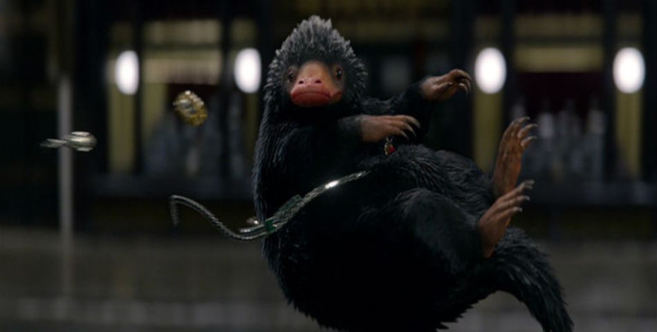 El niffler de “Animales Fantásticos y Dónde Encontrarlos” ¡si existe!