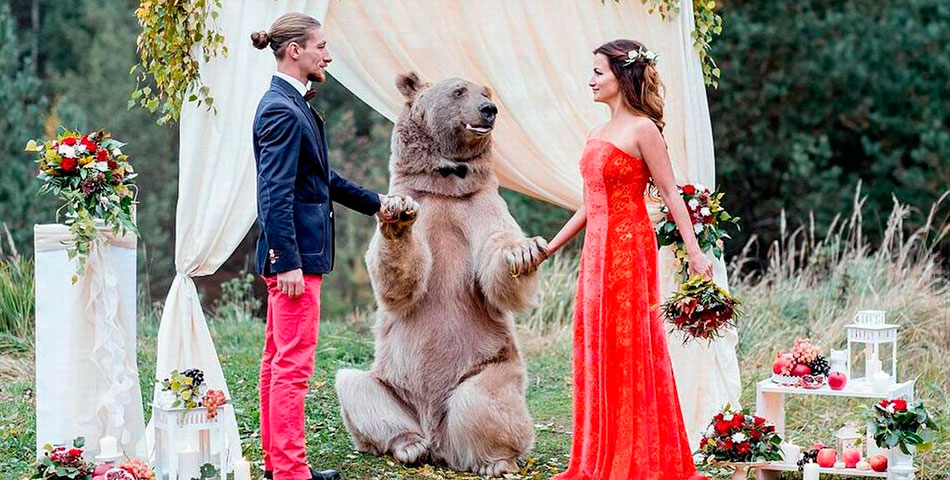 Un oso, testigo de mi boda