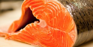 Alarma mundial: 2017, el año menos indicado para comer salmón