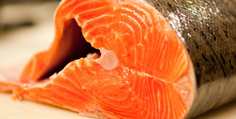 Alarma mundial: 2017, el año menos indicado para comer salmón