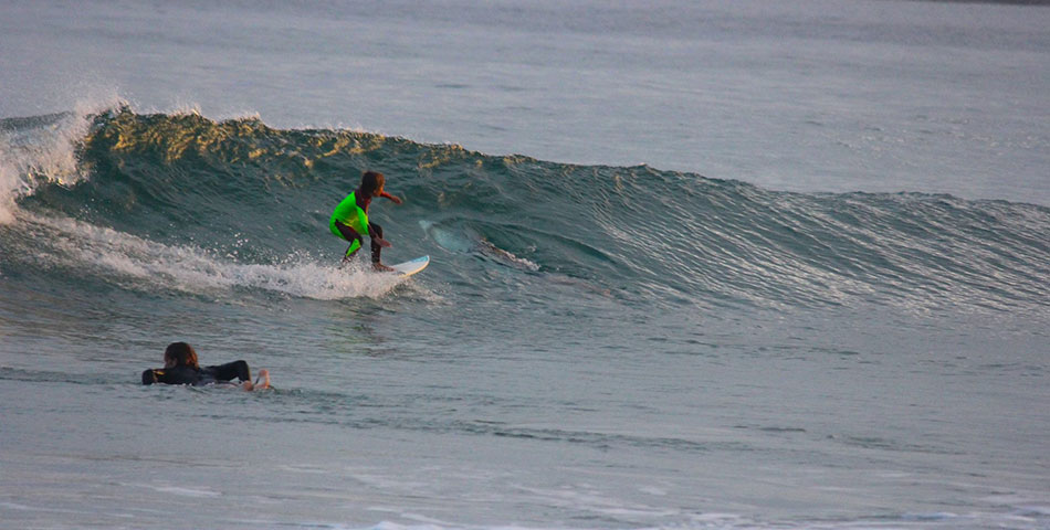 Un nene surfista fue “acompañado” por un tiburón