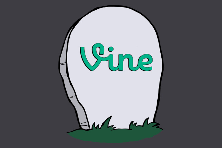 vine