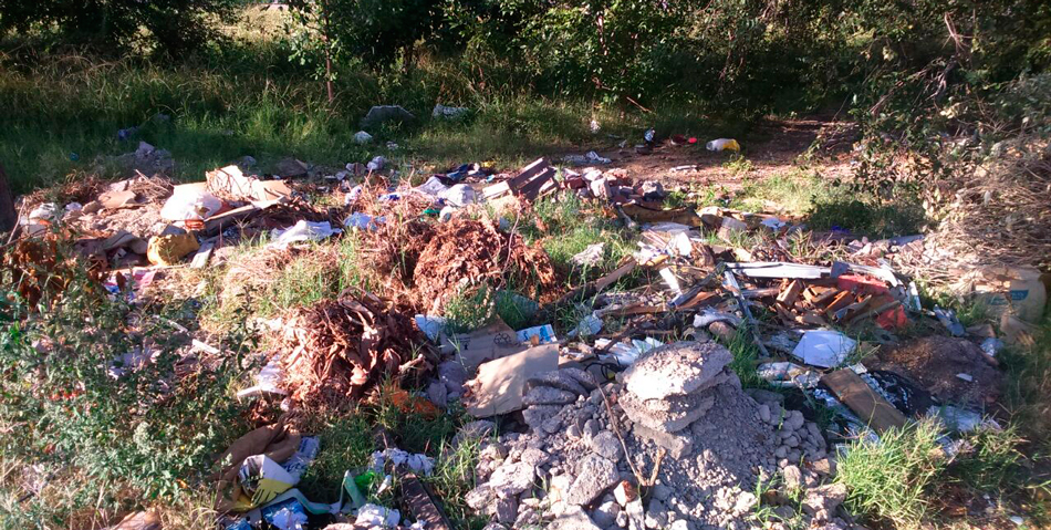 Quieren encarcelar a las personas que arrojan basura en la vía pública