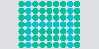 ¿Qué tan bien percibes la diferencia entre tonos del mismo color?