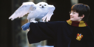 ‘Harry Potter’ cumple 20 años y sus fans enloquecieron en las redes sociales