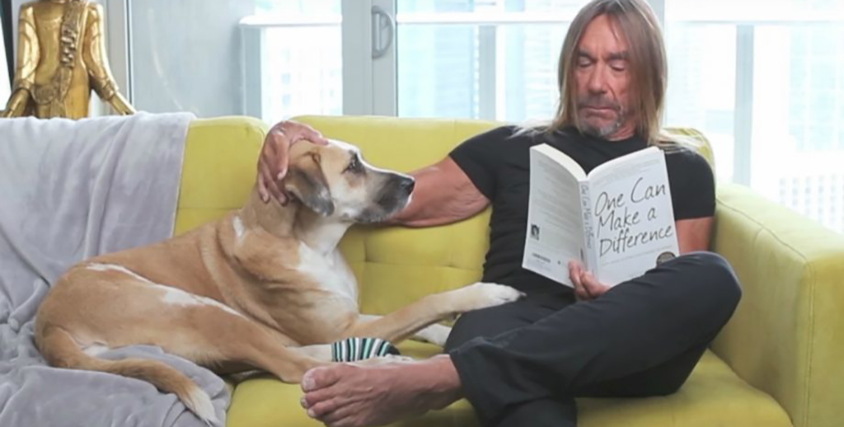 ¡Iggy Pop se convierte en super-héroe para defender a los animales!