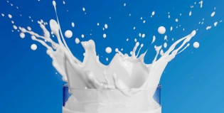 Aprendé a hacer la “leche ideal” desarrollada por el CONICET