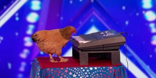 La gallina pianista es todo lo que está bien