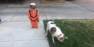 ¡Pobrecito! Sacó a pasear al perro vestido de astronauta y fue victima de una guerra de memes