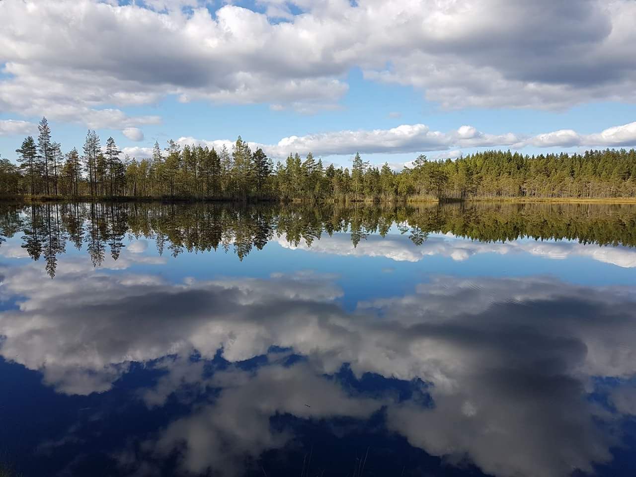 Tiempo compartido: Sundsvall, Suecia
